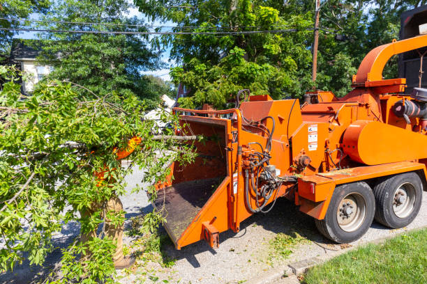 Best Residential Tree Removal  in Mooreland, OK